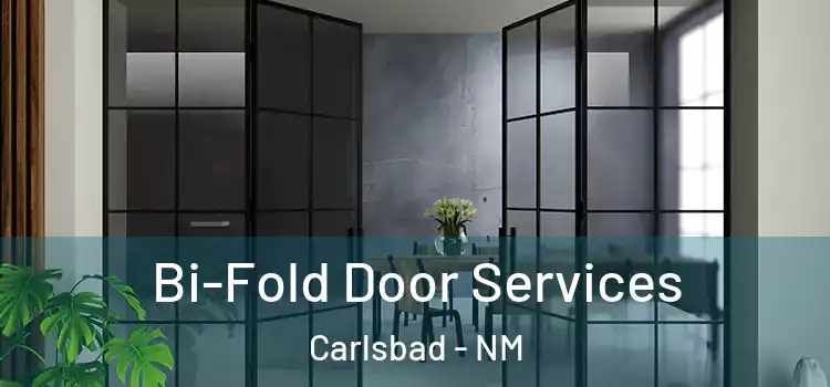 Bi-Fold Door Services Carlsbad - NM