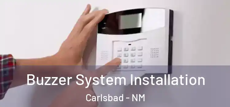 Buzzer System Installation Carlsbad - NM