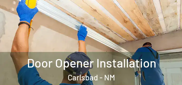 Door Opener Installation Carlsbad - NM