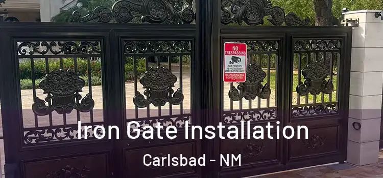 Iron Gate Installation Carlsbad - NM