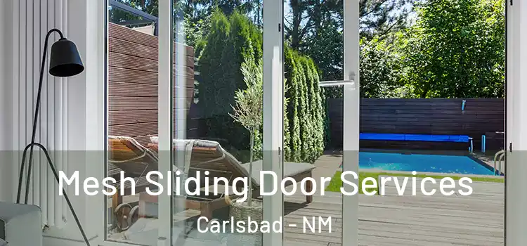 Mesh Sliding Door Services Carlsbad - NM