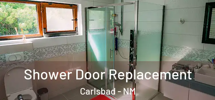 Shower Door Replacement Carlsbad - NM
