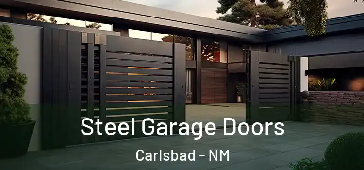 Steel Garage Doors Carlsbad - NM